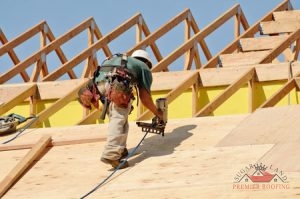 Roofer with a Nail Gun at Work on Plywood Decking.