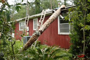 Home Needing Roof Damage Insurance Claims